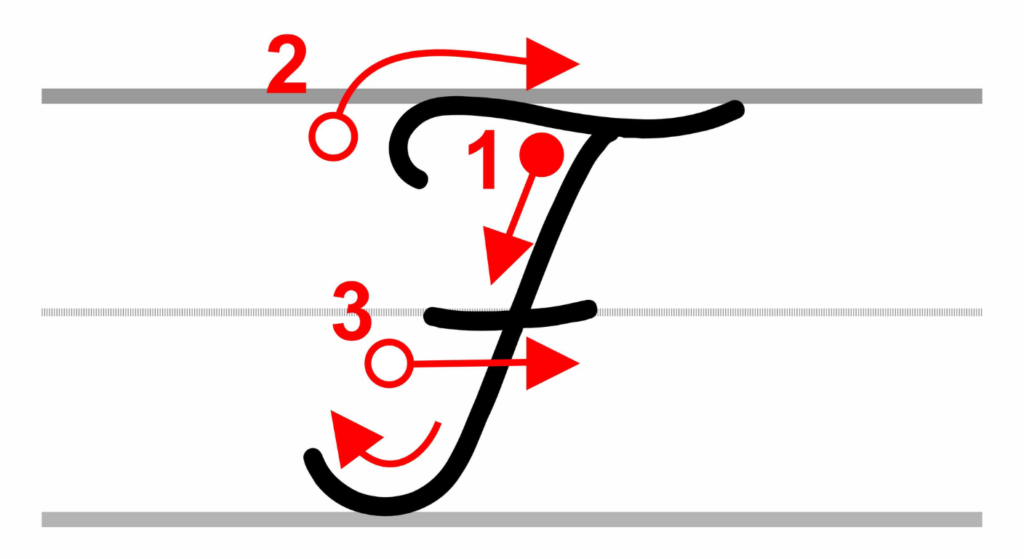 How to Write Uppercase Cursive F Stroke by Stroke